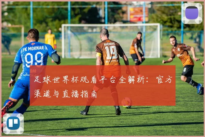 足球世界杯观看平台全解析：官方渠道与直播指南