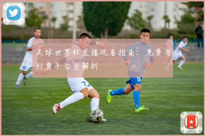 足球世界杯直播观看指南:免费与付费平台全解析